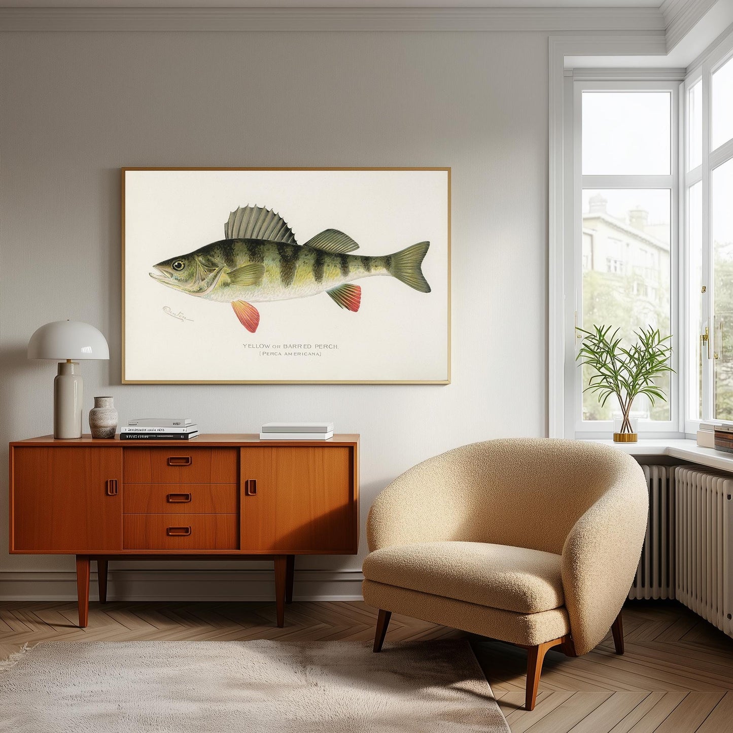 Yellow Perch Vintage Print: Fishing Wall Art