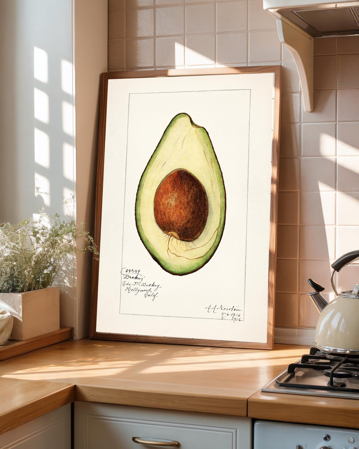 Vintage Avocado Print: A A Newton Kitchen Wall Art