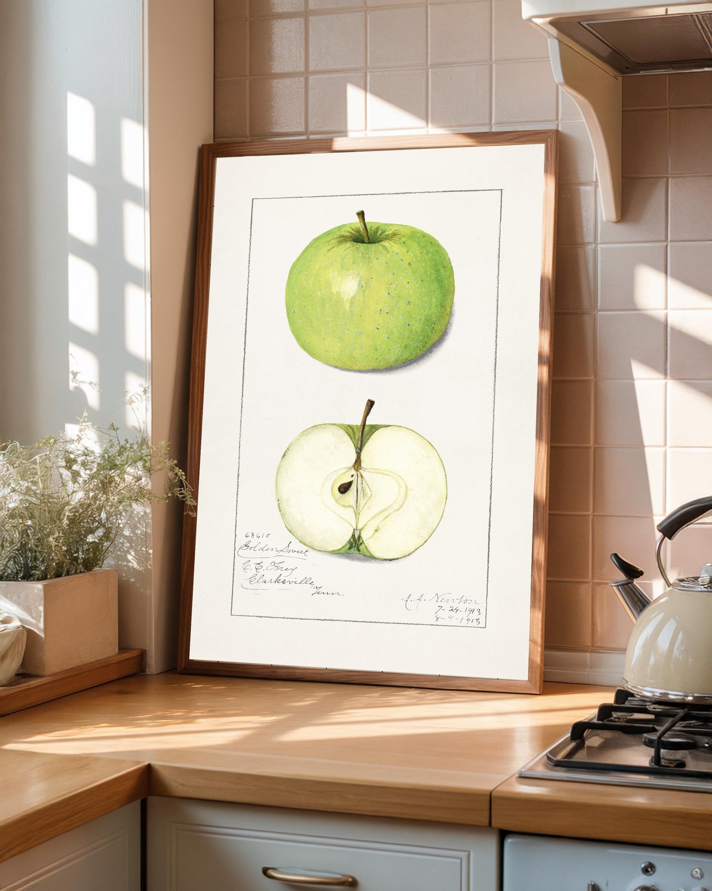 Vintage Apple Botanical Print: Kitchen Wall Art
