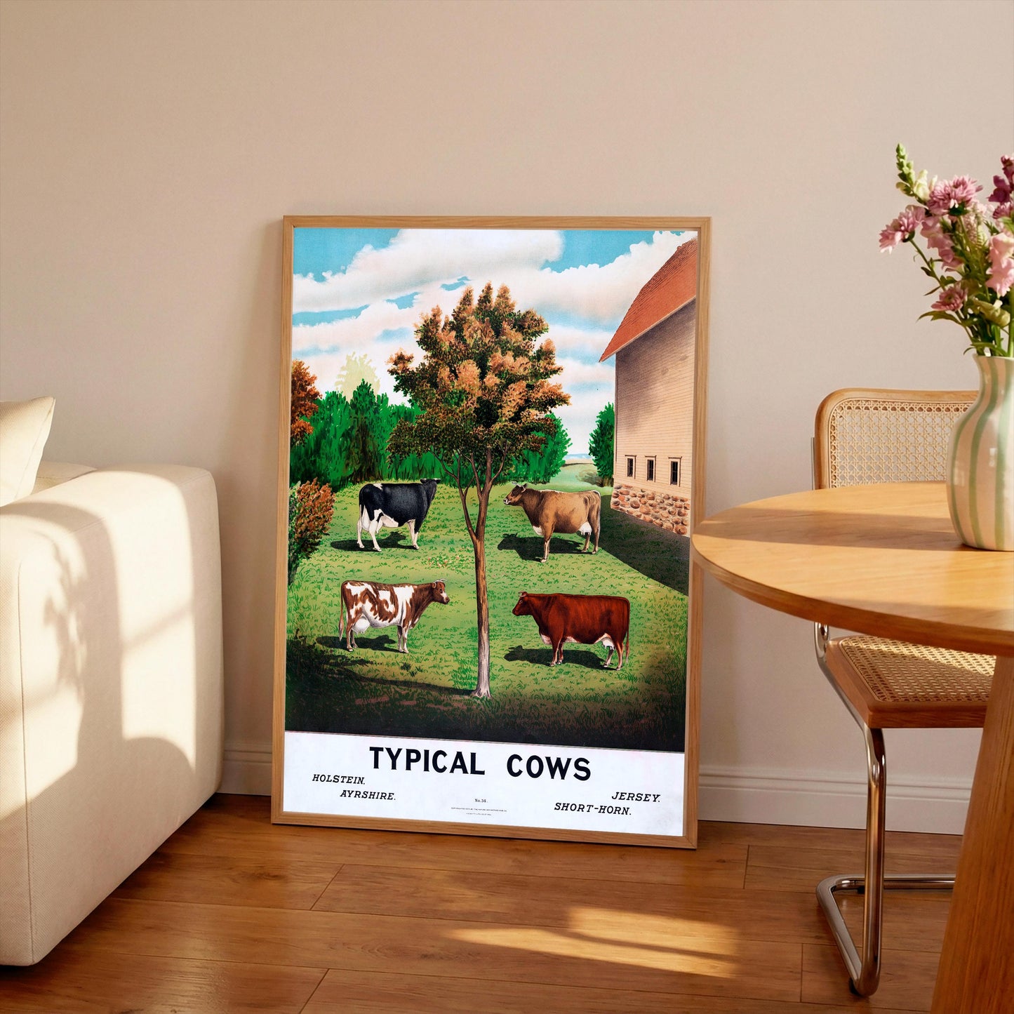 Vintage Cows Print: Holstein, Jersey, Ayrshire, Short-horn (A4/A3)