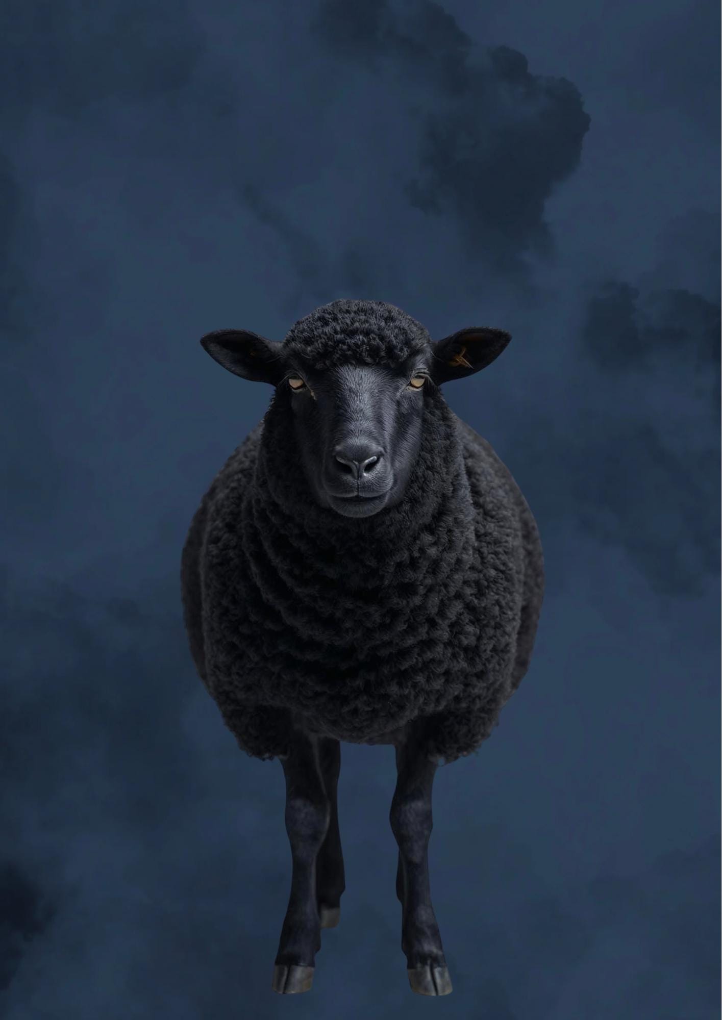Black Sheep Art Print: Moody Charcoal Silhouette, Gallery Wall Decor