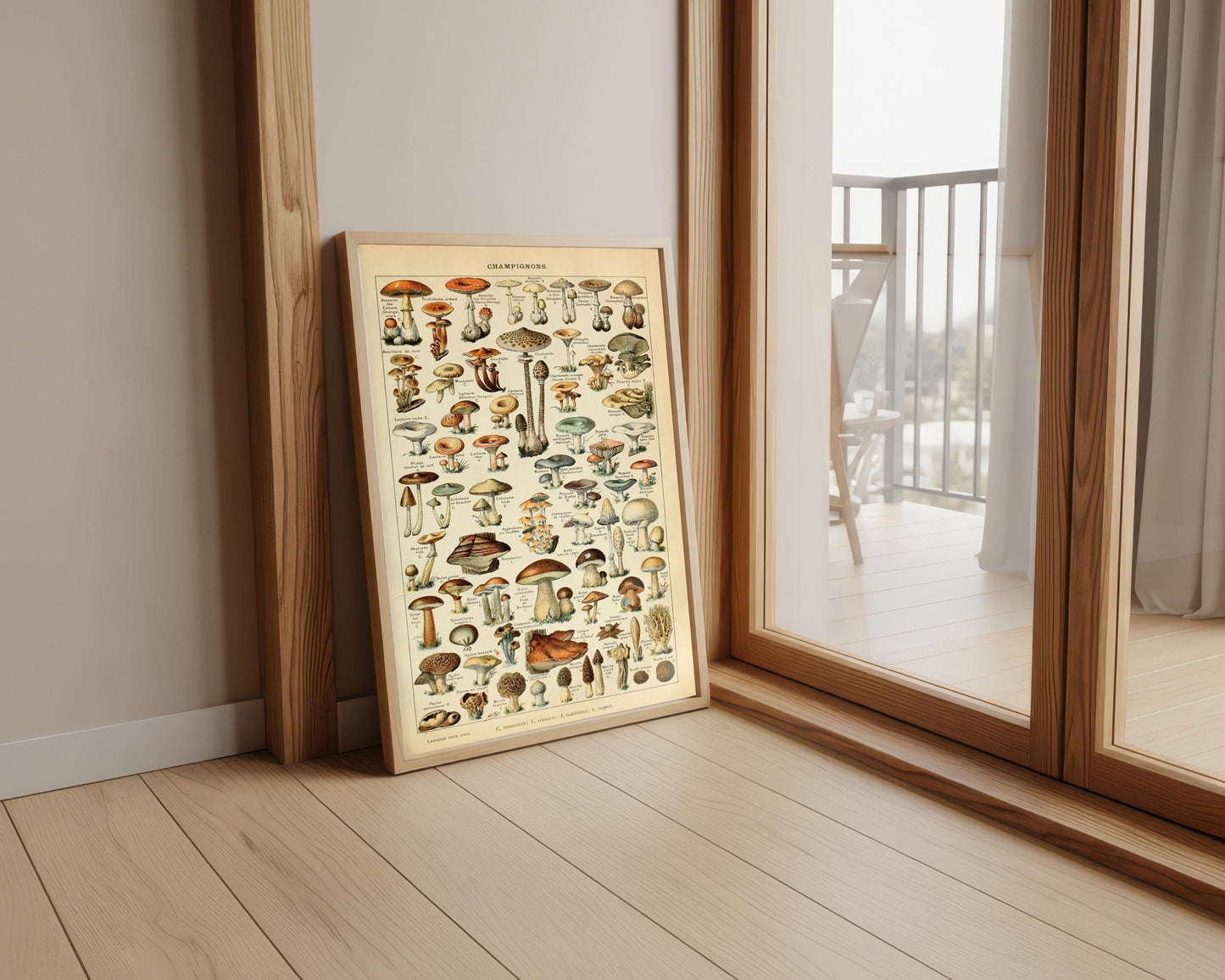 Vintage Mushroom Poster: Adolphe Millot Fungi Chart Print