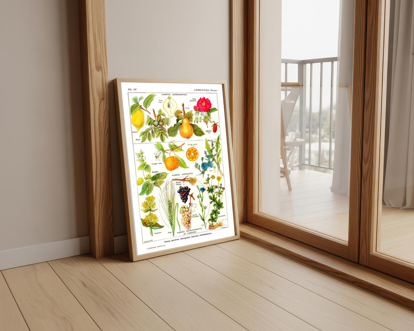 Vintage Botanical Print: Larousse Astringent Plants Wall Art